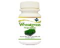 Shivalik  Wheatgrass Capsules