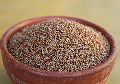 Natural Finger Millet Seed