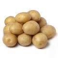 Baby Potato