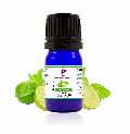 Lime  Essential oil