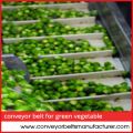 Conveyor Belt for Green Vegetable Processing