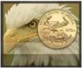 USA Gold Coins