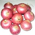 Red Onion Big