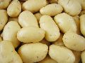 3797 fresh potato