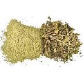mainphal herb