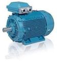 Low Voltage Frequency Controlled Motor