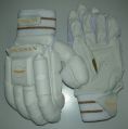 Cricket Batting Gloves