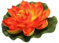 Orange Lotus Flower