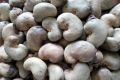 Raw Unprocessed Cashew Nuts
