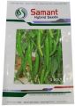 Hybrid Green Chilli Seeds