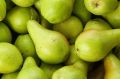 Green imported pear