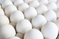 Everyday Eggs white eggs