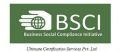 Business Social Compliance Initiative Services in SECTOR 63 Noida.