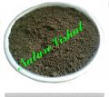 NATURE VISHAL - Vermicompost