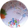 Disposable Printed Paper Plates