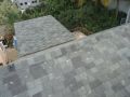 Asphalt Roofing Shingle