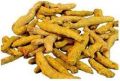 Alleppey Turmeric Finger