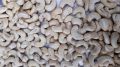 White Curve cashew kernel
