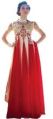Party Wear Embroidered Net Semi-Stitched Gown