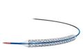 Free Sample Coronary Stent Systems