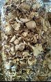 Dry Organic Oyster Mushroom