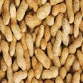 Natural Shelled Peanuts