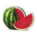 Fresh Round Watermelon