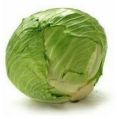 Fresh Natrual Cabbage