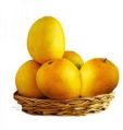 Natural Alphonso Mango