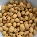 Natural Soyabean Seeds