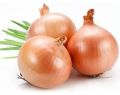 Organic Brown Onion