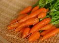 Fresh Baby Carrot