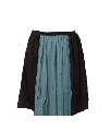 Women short skirt