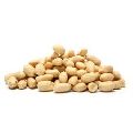 Salted Peanut Kernels