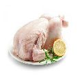 Whole Broiler Chicken