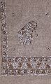 Embroidered Beige Pashmina Lucknow Chikan Woolen Stole