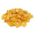 Sun Dried Golden Raisins