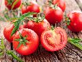 Fresh Natural Tomato