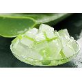 Fresh Aloe Vera Pulp