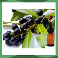Natural Laurel Berry Oil