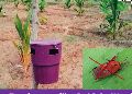 Plastic Purple Insect Trap