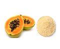 Papaya Powder (Spray Dried)