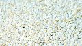 White Sortex Sesame Seeds