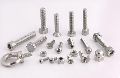 Silver stainless steel fasteners