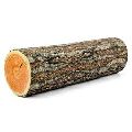 wood log