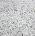 White Corts Marble