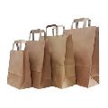 Paper Handle Carry Bags