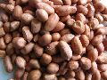 Natural Peanut Kernels
