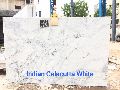 Indian Calacatta White Marble Slabs
