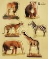 Connect Wild Life Puzzles